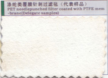 涤纶类覆膜针刺过滤毡(代表样品)